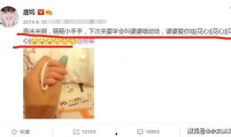 孩子瓜的最新爆料,孩子瓜独家爆料，揭秘娱乐圈最新热点